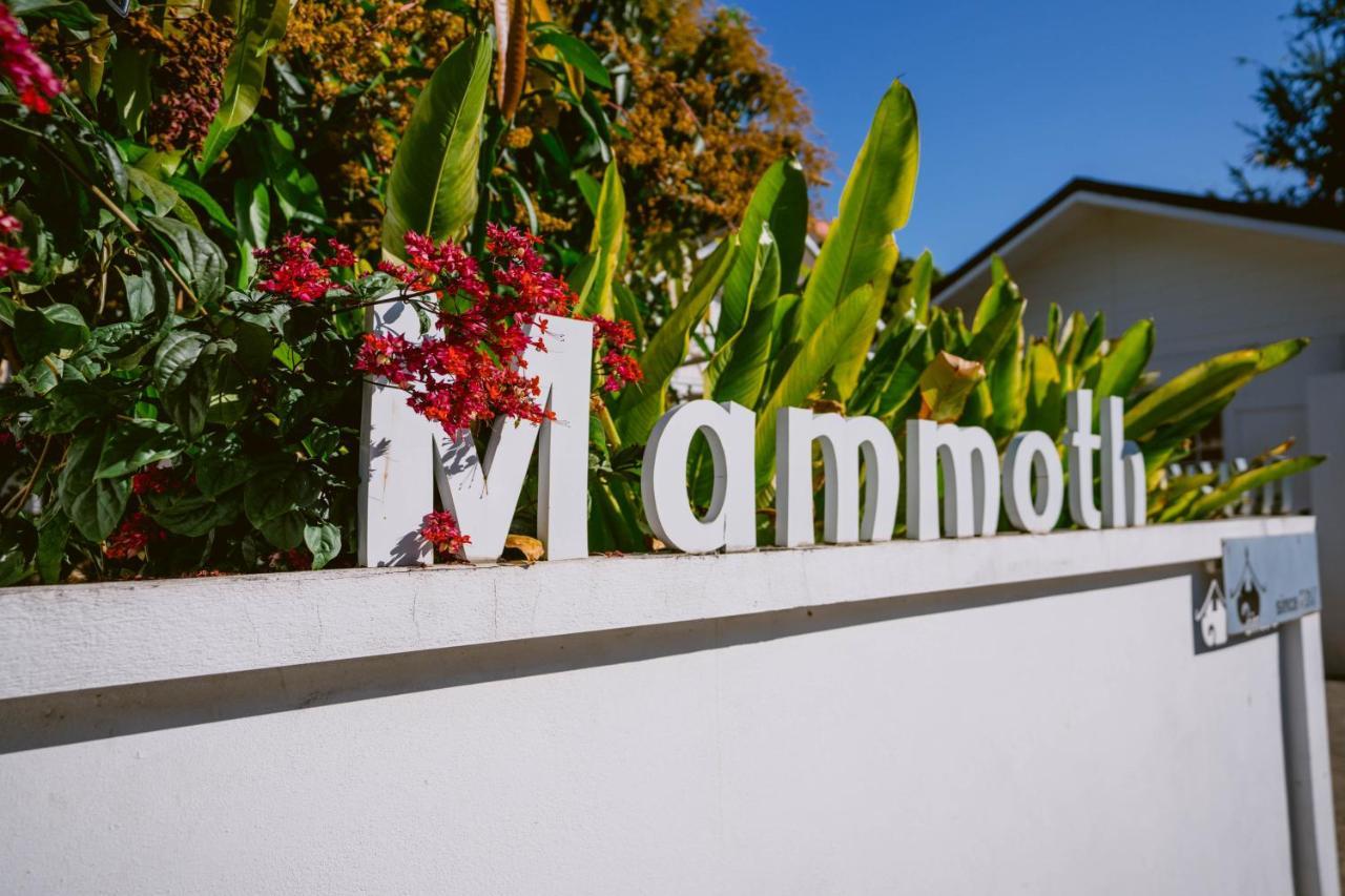 Mammoth Boutique Hotel Chiang Mai Exterior photo